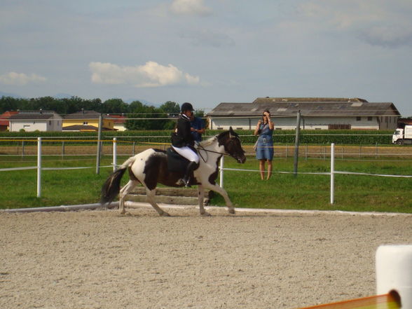 RP Reitverein Welser Heide 2009 - 