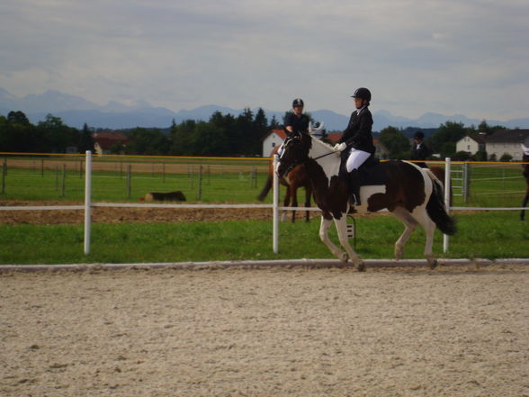 RP Reitverein Welser Heide 2009 - 