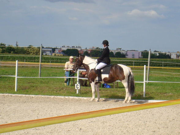 RP Reitverein Welser Heide 2009 - 