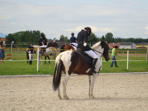 RP Reitverein Welser Heide 2009 - 