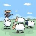 sheepworld - 