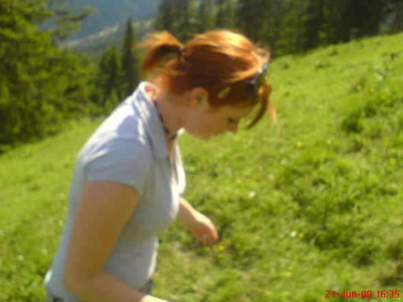 ???????? tirol 08 ???????? - 