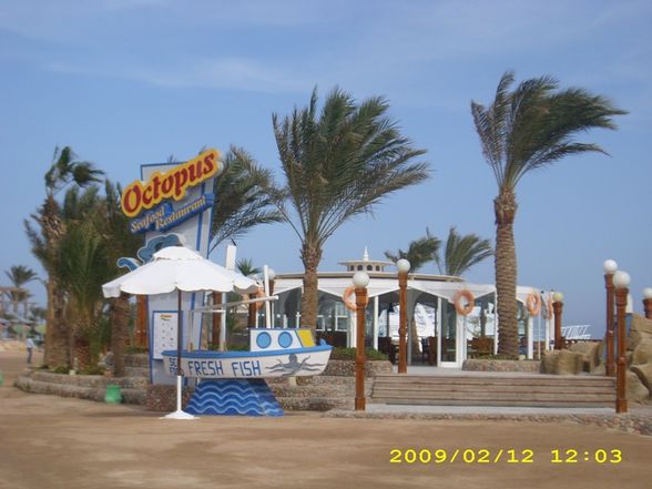 Ägypten 2009 - 