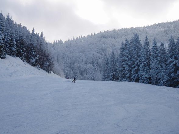 Lackenhof Skifahren - 