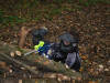 Paintball - 