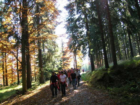 Wandertag in Sandl - 