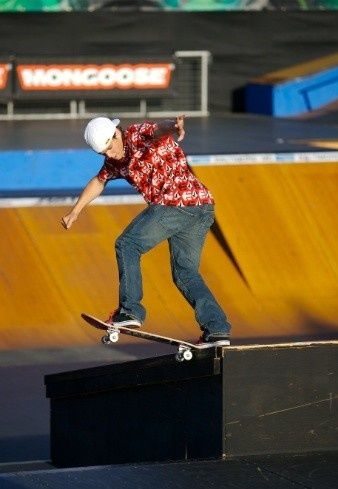 ryan sheckler - 