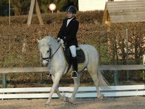 Reiten ... - 