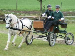 Reiten ... - 