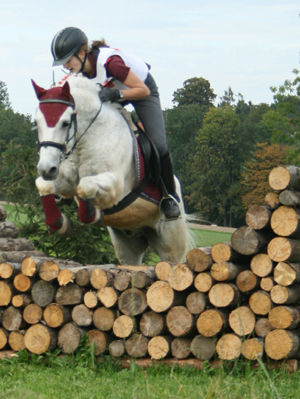 Reiten ... - 