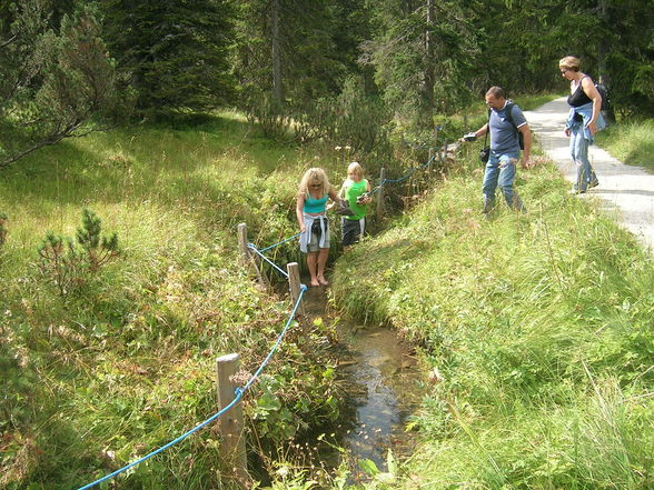 Ausflug auf die Wurzeralm 06.09.2008 - 