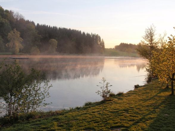 Zeltn am Bodesee 09 - 