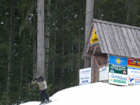 Gosau 2008  - 