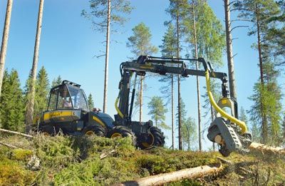 Der schönste Sport ist Holztransport!!!! - 