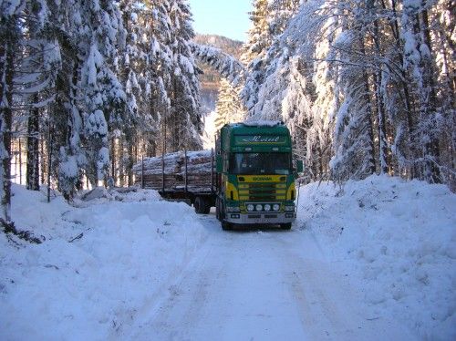 Der schönste Sport ist Holztransport!!!! - 