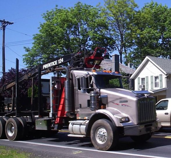 Der schönste Sport ist Holztransport!!!! - 