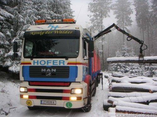 Der schönste Sport ist Holztransport!!!! - 