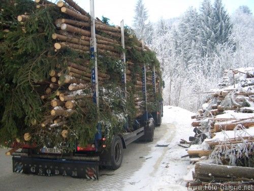 Der schönste Sport ist Holztransport!!!! - 