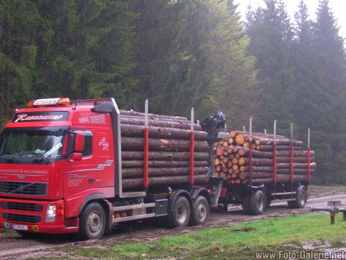 Der schönste Sport ist Holztransport!!!! - 