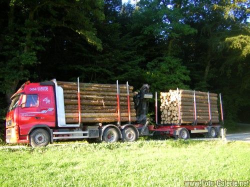 Der schönste Sport ist Holztransport!!!! - 