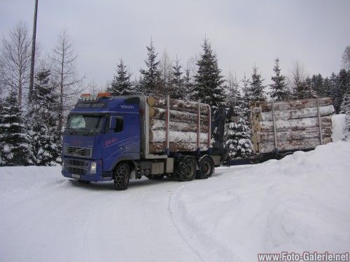 Der schönste Sport ist Holztransport!!!! - 