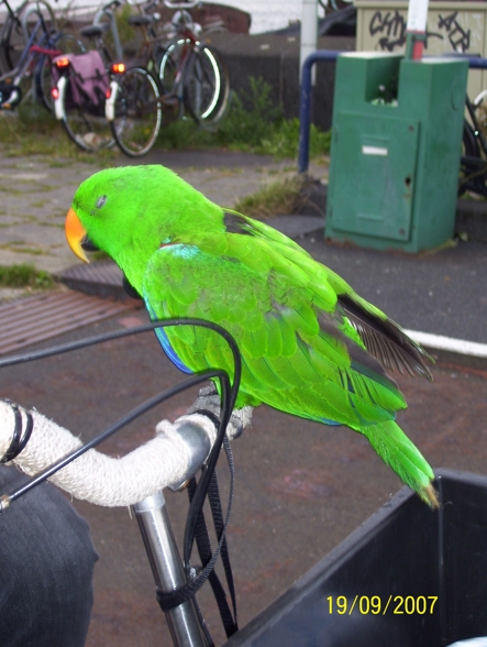 Amsterdam 2007 - 