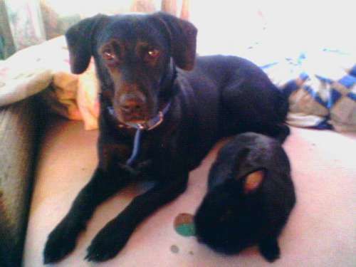 Freunde - 