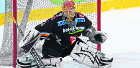 ich sag nur ehc liwest black wings linz - 