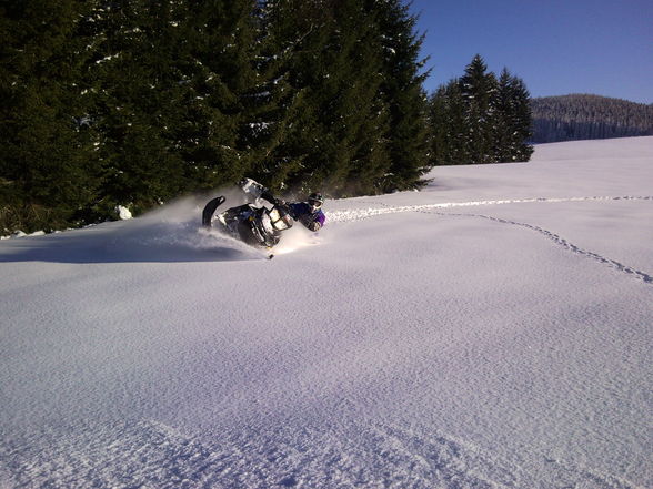 Skidoo 4 - 