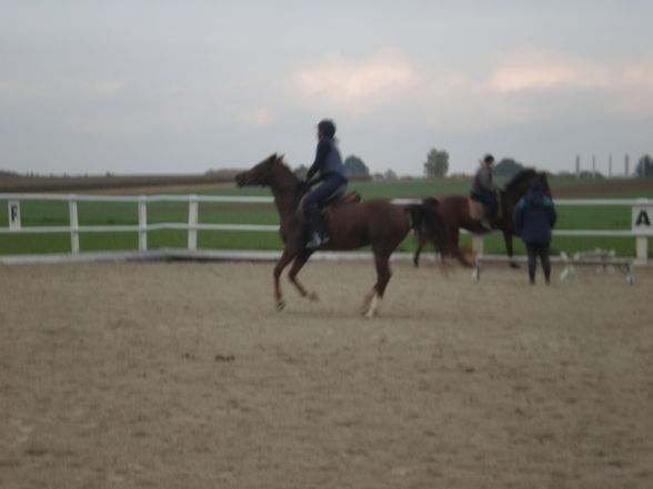 Reiten - 