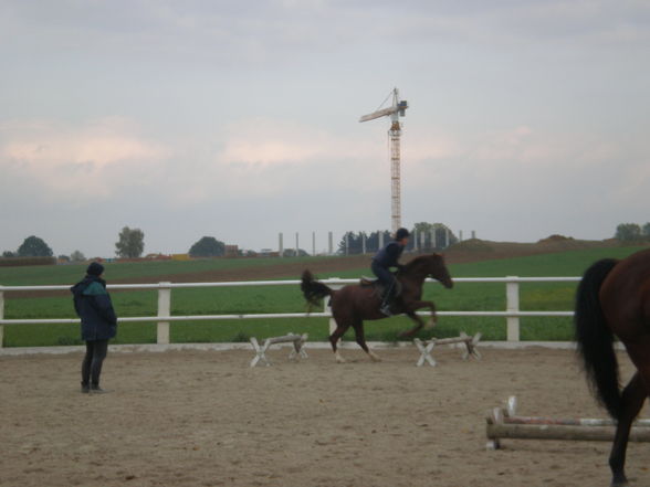 Reiten - 