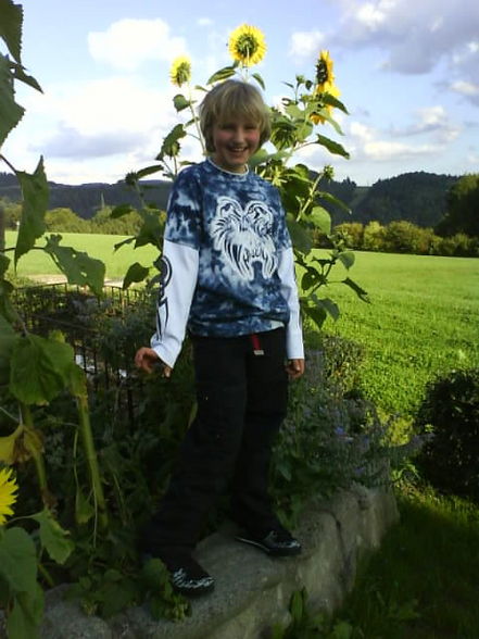 sommer 2008 - 