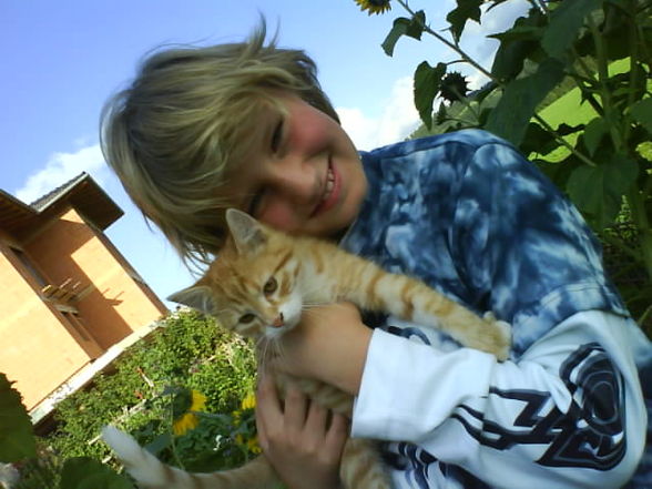 sommer 2008 - 