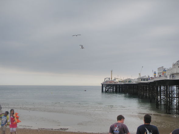 Brighton :) - 