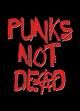 ...punks not dead.. - 