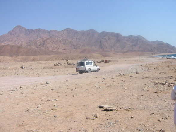 Ägypthen 2008 - 