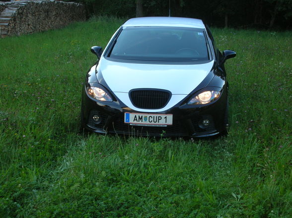 Mein Cupra - 