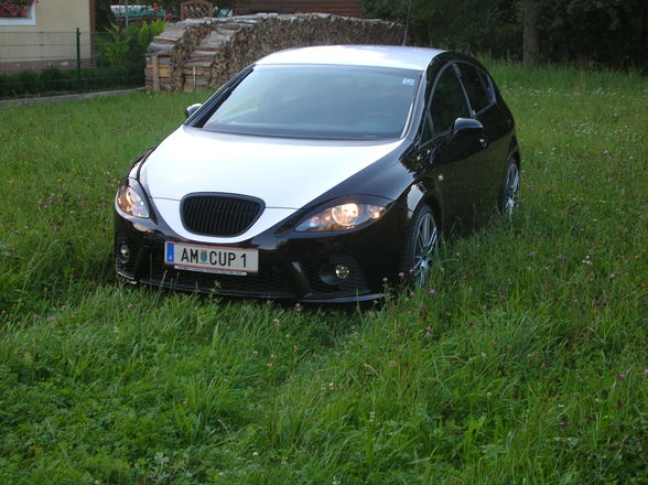 Mein Cupra - 