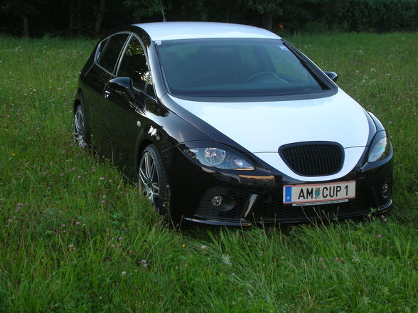 Mein Cupra - 