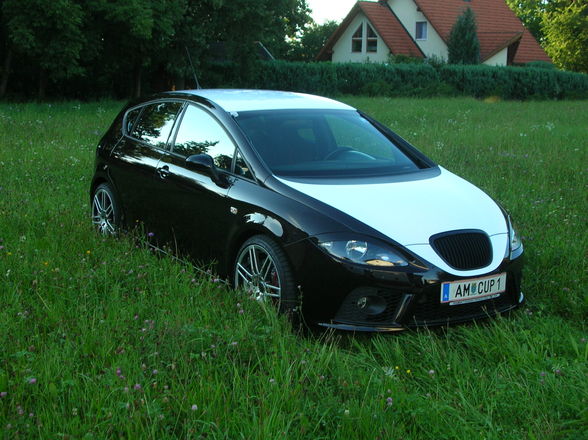 Mein Cupra - 