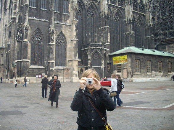 ---------->Wien - 