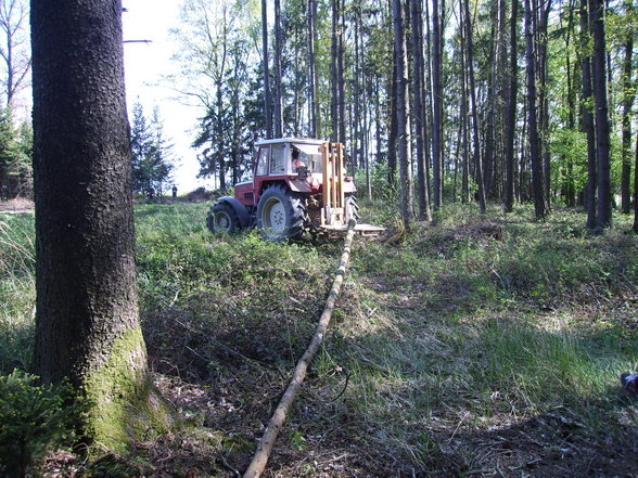 Maibaumaufstellen 29.April 2007 - 