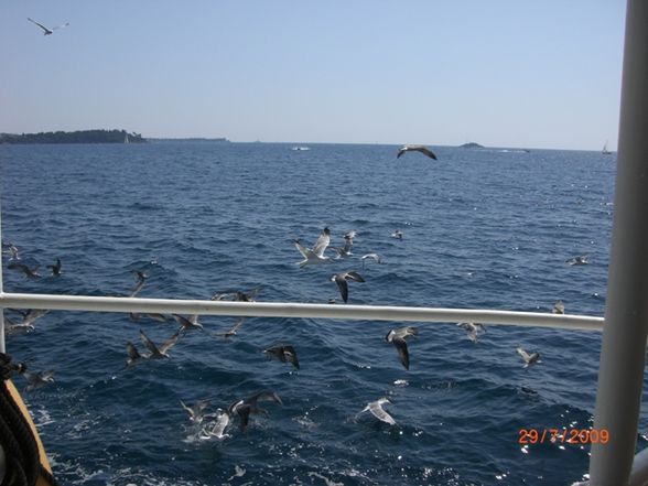 Kroatien_2009 - 