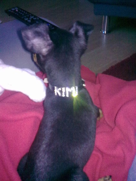 Unsere kleine *Kimi* - 