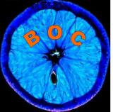 The Blue Orange Club  BOC - 