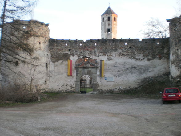 Burgruine Hohenegg - 