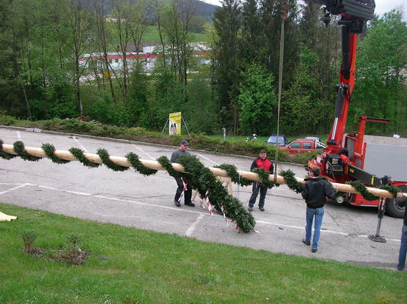 Maibaum - 