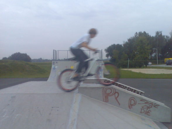 Am Skatepark - 