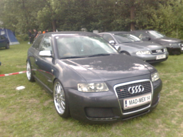 VW  Treffen  Bulls 09 - 