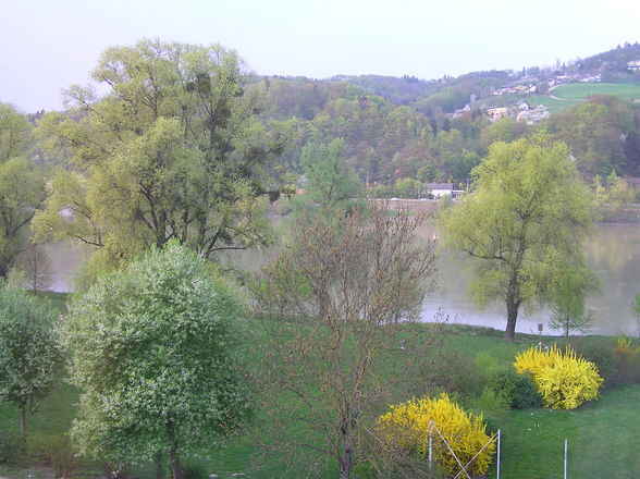 Frühlingsrundblick bei mir zu Haus - 